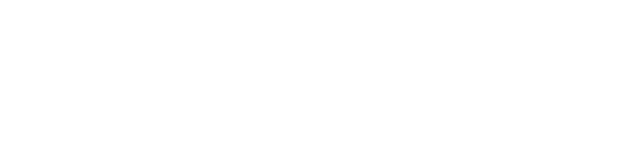 Undisputed Pictures